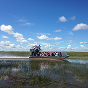 湿地帯を爽快に走るエアボート