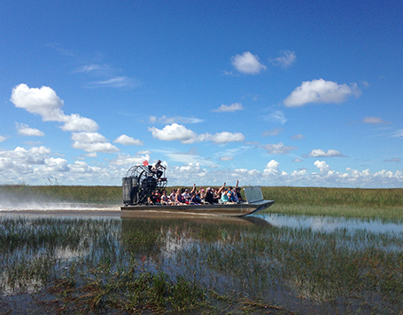 湿地帯を爽快に走るエアボート